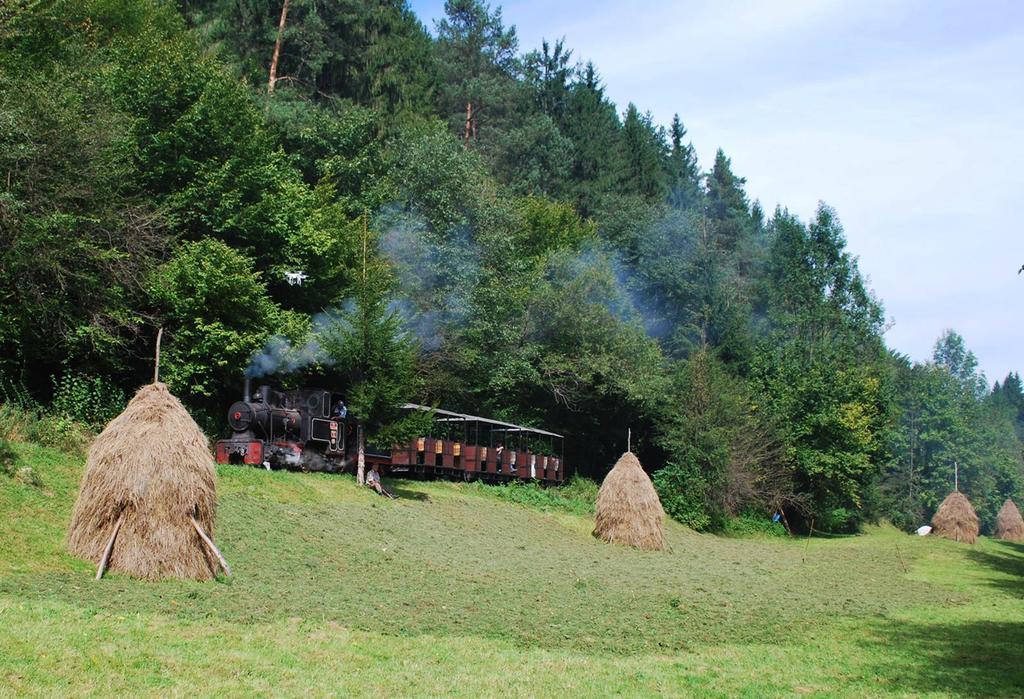 Hotel Casa Petri Rosia Montana Exterior foto