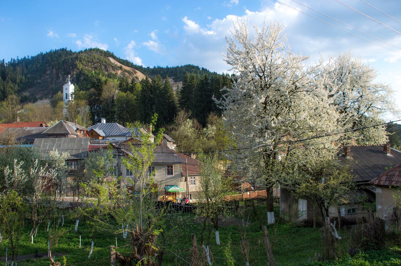 Hotel Casa Petri Rosia Montana Exterior foto